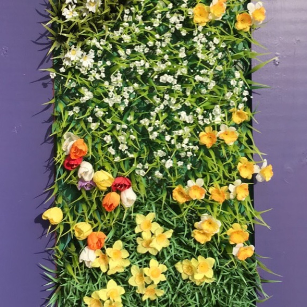 Meet your Posher, Salcie